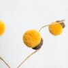 Acorn Spray, Botanicals Decor For Harvest Festival Fall Festival & Thanksgiving Table Decorations (Set of 6) - Yellow - Image 3