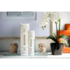 Book Boxes (Set of 2) - White / Gold - Image 9