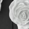Rose Hanging Wall Accents (Set of 2) - White - Image 7