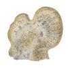 Resin Turkey With Pumpkin Rustic, For Harvest Festival Fall Festival & Thanksgiving Table Decorations (Set of 2) - Gray - Image 9