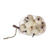 Velvety Pumpkin In Mesh Bag, Bag / 12, For Holiday Harvest Festival Fall Festival & Thanksgiving (Set of 4) - White - Image 2