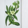 Botanical Flower Wall Art, Home Decor For Living Room Dining Room, Bedroom, Hallway (Set of 4) - White / Blue - Image 9