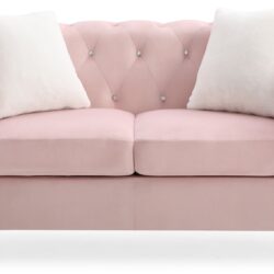 Cozy Contemporary Loveseat - Pink