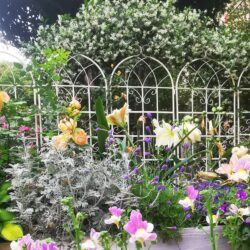 2 Pack Metal Garden Rustproof Trellis For Climbing Plants Outdoor Flower Support - Cream White