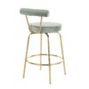 Rhonda - Glam Counter Stool (Set of 2) - Gold / Sage Green - Image 4