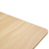 Laundry Room Folding Table, Wall Mounted Folding Table For Small Spaces, Fold Down Desk, Workbench, Addition To Garage & Shed - Burly Wood - Image 14