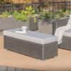 Enthrallia - Outdoor Wicker Bench With Cushion - Gray - Image 4