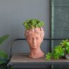 D7X11" Visage Head Bust Planter - Brown - Image 9