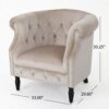 Celestialis - Upholstered Velvet Club Chair With Tub Design And Rolled Recessed Armrests - Champagne - Image 3