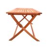 Foldable Patio Dining Set With 1 Dining Table, Indoor And Outdoor Use, Solid Wood - Teak - Image 5