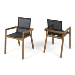 Dining Chair With Frame And Mesh Seating (Set of 2) - Teak