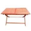 5 Piece Patio Dining Set, 4 Folding Chairs & 1 Dining Table, Indoor And Outdoor Universal - Teak - Image 6