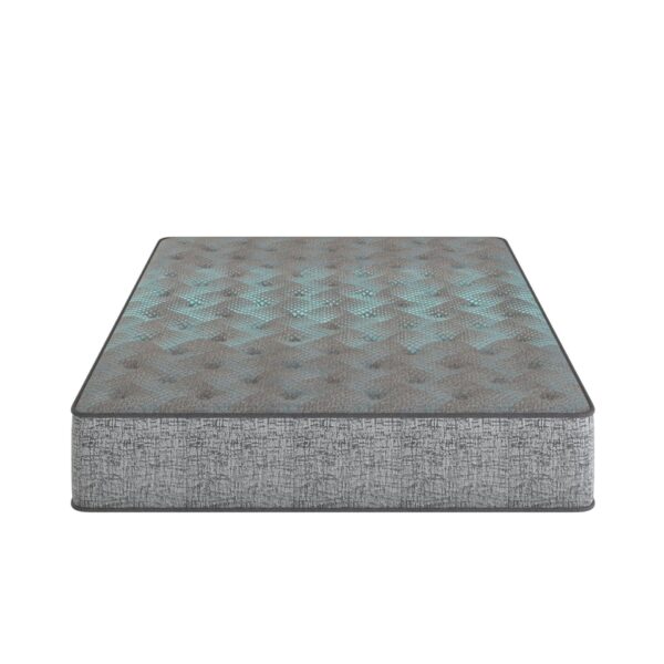 Comfort Care - 9" Queen Size, 2 Sided Foam Core Mattress, Medium Comfort - Gray / Blue