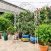 Metal Garden Arch Assemble Freely With 8 Styles Garden Arbor Trellis Climbing Plants Support Rose Arch Outdoor Arch Wedding Arch Party Events Archway - Cream White - Image 2