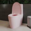 1.1 / 1.60 Gpf Dual-Flush One Piece Toilet, Water-Saving Elongated Comfort Height Floor Mounted, Soft Close 1000 Gram Map Flushing Score Toilet 23T01-Rs - Rose - Image 11