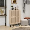 2 Door Shoe Rack, Freestanding Modern Shoe Storage Cabinet, For Entryway - Natural - Image 4