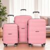 Hardshell Suitcase Spinner Wheels Pp Luggage Sets Lightweight Durable Suitcase With Tsa Lock, 3 Piece Set (20/24/28) - Pink - Image 2