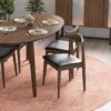 Destiny - Dining Chairs (Set of 2) - Black / Dark Brown - Image 15