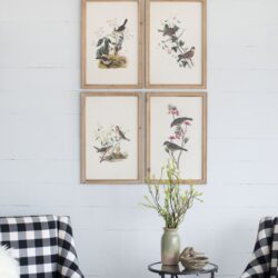 Bird Framed Print (Set of 4) - Multicolor
