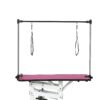 Hydraulic Pet Grooming Table With"H" Arm - Pink - Image 7