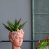 D6X9" Visage Head Bust Planter - Brown - Image 9