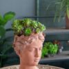 D6X9" Visage Head Bust Planter - Brown - Image 11