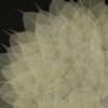 Camilla - Square Shadow Box Wall Decor - Black White - Image 4