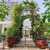 Metal Garden Arch With Gate High Climbing Plants Support Rose Arch Outdoor - Black - Image 2