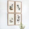 Bird Framed Print (Set of 4) - Multicolor - Image 5