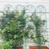 2 Pack Metal Garden Trellis Rustproof Trellis For Climbing Plant Outdoor Flower Support - Green - Image 4