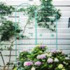 2 Pack Metal Garden Trellis Rustproof Trellis For Climbing Plant Outdoor Flower Support - Green - Image 10