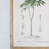 Tree Framed Print (Set of 2) - Multicolor - Image 7
