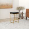 Joel - Mid-Century Modern Luxury Upholstered Stool - Black / Gold - Image 11