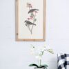 Bird Framed Print (Set of 4) - Multicolor - Image 7