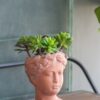 D6X9" Visage Head Bust Planter - Brown - Image 8