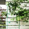 4 Pack Metal Garden Trellis Rustproof Trellis For Climbing Plants Outdoor Flower Support - Green - Image 6
