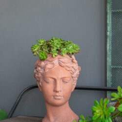 D7X11" Visage Head Bust Planter - Brown