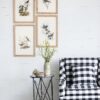 Bird Framed Print (Set of 4) - Multicolor - Image 4