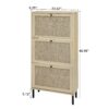 Modern Freestanding Rattan 3 Door Shoe Rack Storage Cabinet For Entryway - Natural Particle Board - Image 2
