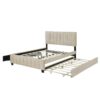 Queen Platform UpholsteredBed With 2 Drawers And Twin Long Trundle - Beige - Image 5