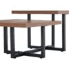 Perfectly Integrating Modern And Scandinavian Styles Double Deck Coffee Table - Walnut - Image 9