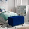 Cosmopolitan - Storage Ottoman - Blue - Image 9