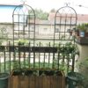 2 Pack Metal Garden Trellis Rustproof Trellis For Climbing Plants Outdoor Flower Support - Black - Image 10