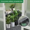 Greenhouse, Wooden Greenhouse Polycarbonate Garden Shed For Plants, Walk-In Outdoor Plant Gardening Greenhouse For Patio Backyard Lawn, Grow House With Front Entry Door - White / Gray - Image 7