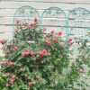 2 Pack Metal Garden Trellis Rustproof Trellis For Climbing Plant Outdoor Flower Support - Green - Image 3