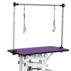Hydraulic Pet Grooming Table With"H" Arm - Purple - Image 5