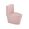 1.1 / 1.60 Gpf Dual-Flush One Piece Toilet, Water-Saving Elongated Comfort Height Floor Mounted, Soft Close 1000 Gram Map Flushing Score Toilet 23T01-Rs - Rose - Image 15