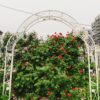 Metal Garden Arch Assemble Freely With 8 Styles Garden Arbor Trellis Climbing Plants Support Rose Arch Outdoor Arch Wedding Arch Party Events Archway - Cream White - Image 3