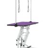 Hydraulic Pet Grooming Table With"H" Arm - Purple - Image 7