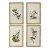 Bird Framed Print (Set of 4) - Multicolor - Image 2